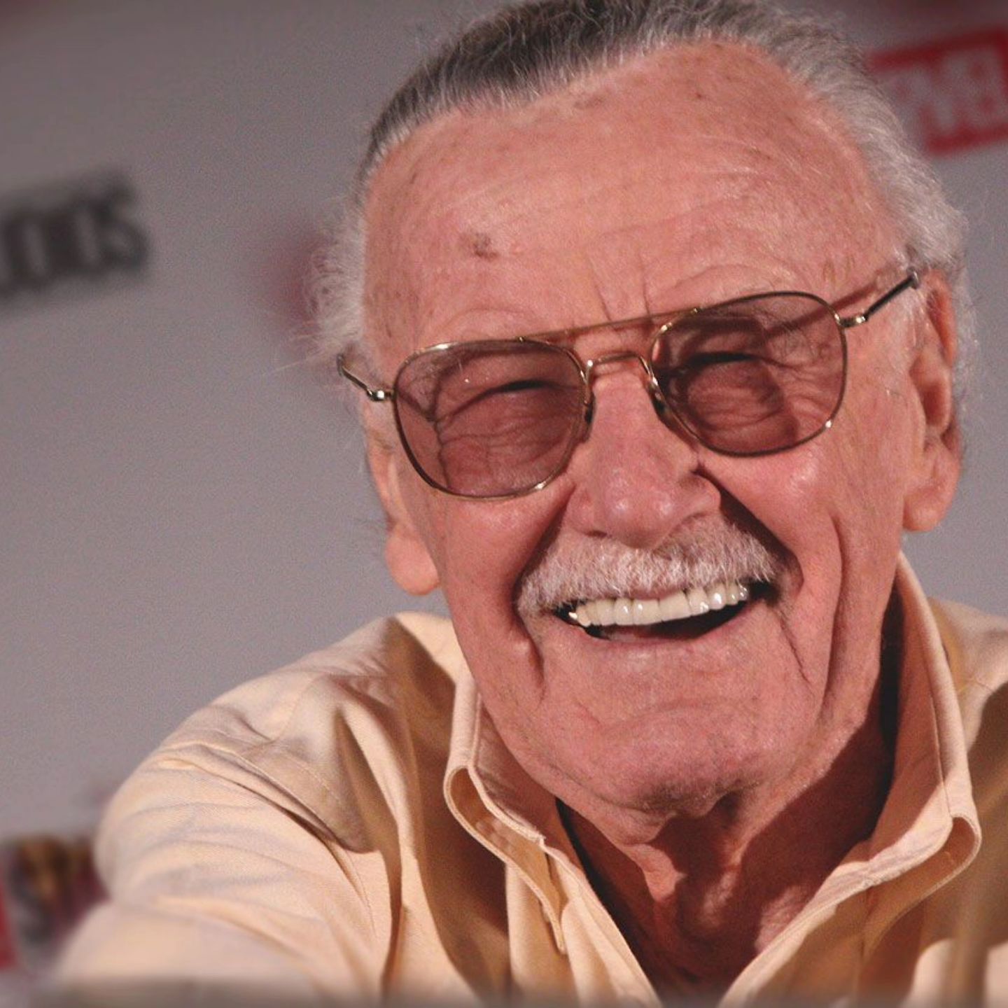 Stan Lee Net Worth: Shocking Film & Publishing Success